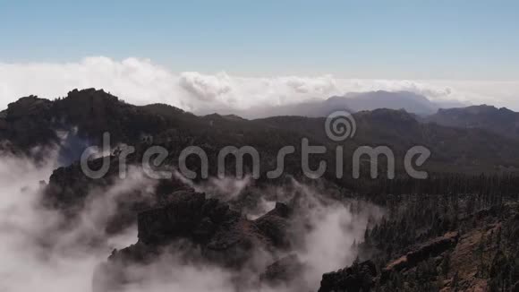 从高处俯瞰令人惊叹的电影景观一架无人机飞过大加那利岛上的山谷松林视频的预览图