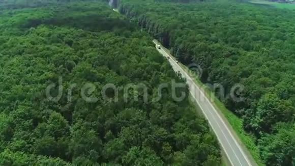 卡车行驶行驶在森林沥青路上的空中镜头视频的预览图