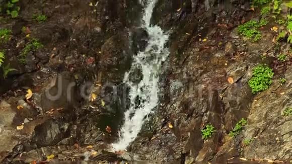 水在瀑布上流动通过一条多叶的岩石通道向下流动森林奇迹令人心旷神怡的小溪视频的预览图