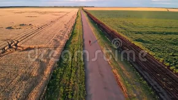 日落时分一个人骑着自行车沿着黄色的麦田沿着绿色的田野视频的预览图