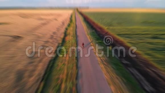 日落时分一个人骑着自行车沿着黄色的麦田沿着绿色的田野视频的预览图