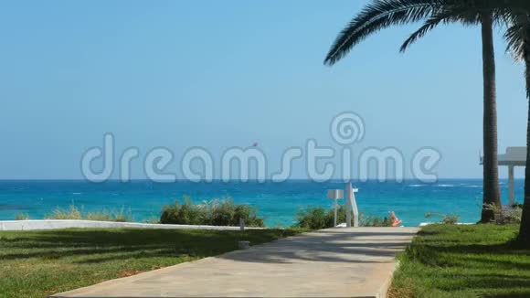 有棕榈的小径通向蔚蓝地中海的海滩被美丽的塞浦路斯自然所包围视频的预览图