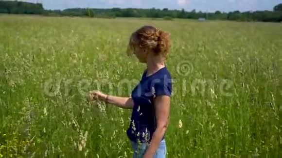 在晴朗的阳光下一位美丽苗条的妇女站在草地上微笑着抚摸着嫩草的小穗视频的预览图