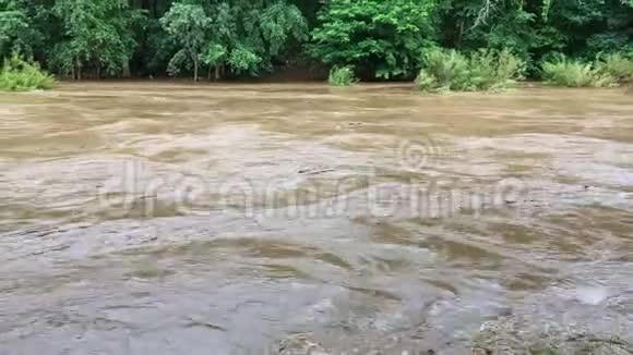 雨季森林洪水视频的预览图
