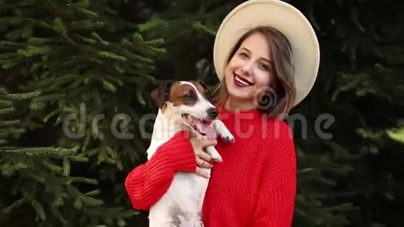 穿红色毛衣的女人和狗住在松树旁视频的预览图