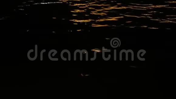 哥德河城堡之夜视频的预览图