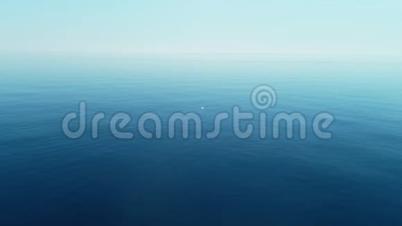 海背景带着海豚在开阔的海面上游泳飞过绿松石平静的水面旅行概念视频的预览图