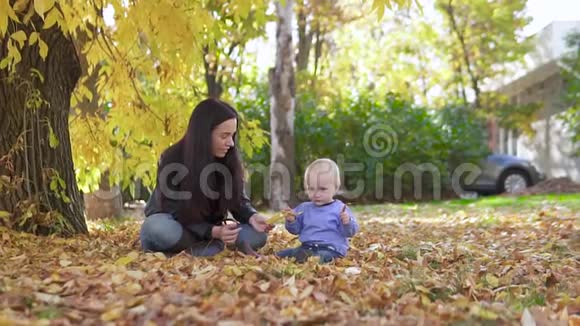 母子俩玩秋叶妈妈和孩子坐在地上一家人在缓慢的秋天公园玩视频的预览图