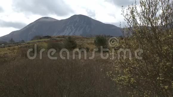 遥远的山在石墙的田野之外视频的预览图