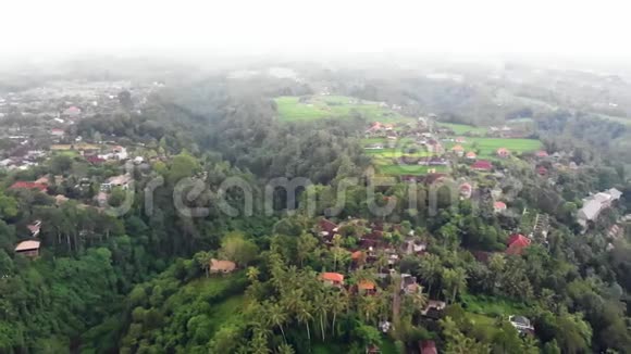空中无人驾驶飞机观看巴厘岛乡村风景稻田视频的预览图