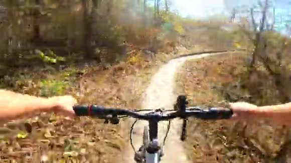 秋天女孩骑着自行车在松林里的一条小路上阳光明媚视频的预览图