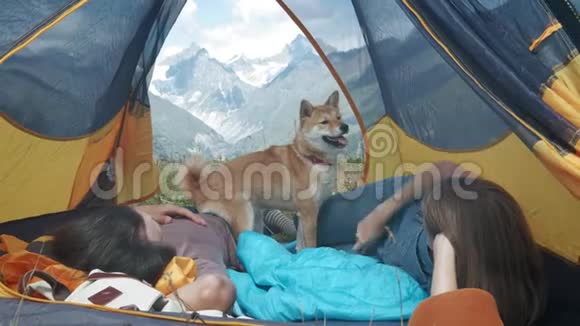 一对年轻的博客旅行者躺在帐篷里养着一只石巴狗他们看着白雪皑皑的大山视频的预览图