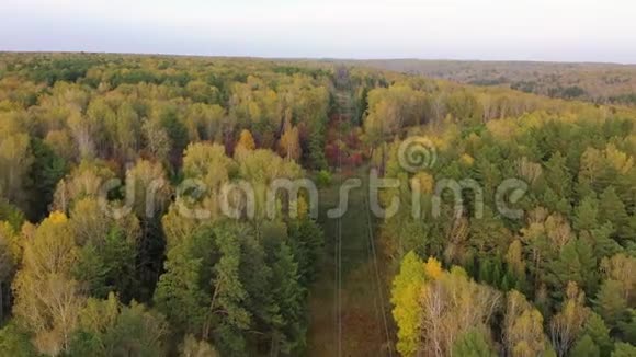 在秋天的树林里从上面勘测电力线路视频的预览图