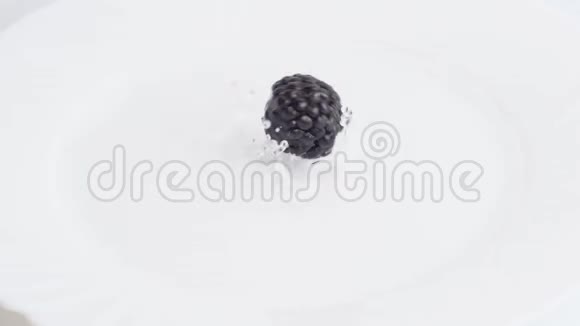 新鲜的黑莓落入水中视频的预览图