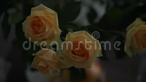 一束美丽的米色和黄色新鲜玫瑰视频的预览图