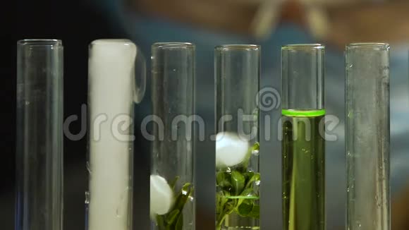 实验室专家用植物样品将液体滴入试管中天然提取物视频的预览图