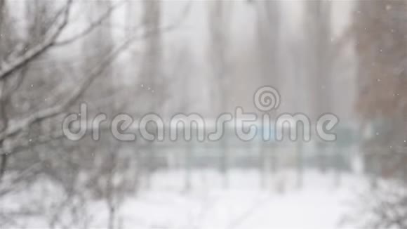 窗外下雪了冬季小雪花慢慢飘落视频的预览图