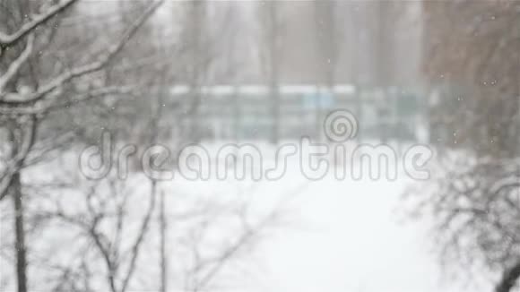 窗外风景如画的冬天雪花的特写慢动作视频的预览图