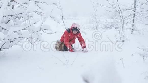 研究人员筋疲力尽在雪地里爬过树林里的雪视频的预览图