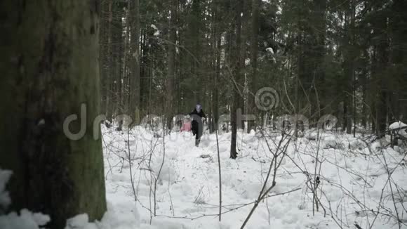 女孩穿过冬天的森林跌跌撞撞地走进雪地视频的预览图