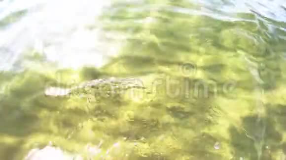 透明的海水反射阳光视频的预览图