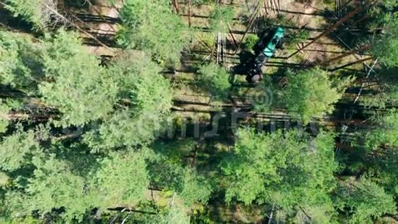 现代机器在树林里砍伐树木视频的预览图