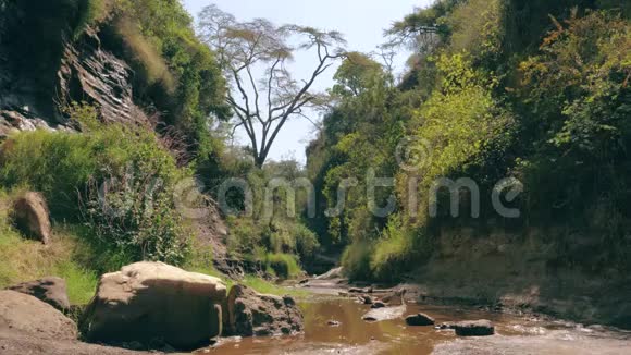 河峡谷丛林景观视频的预览图