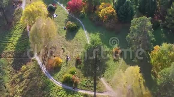人们在温暖的秋日在公园里散步人们坐在草坪上从公园上方的高处射击视频的预览图