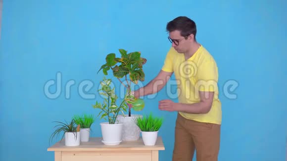 中年男子喷洒并照料桌上的植物视频的预览图