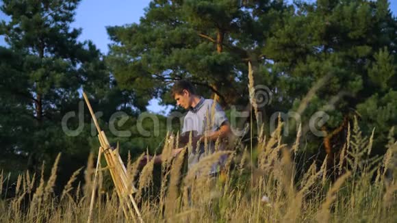 男艺术家在大自然的室外描绘日落景观视频的预览图