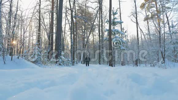 一个年轻人正在冬天的森林里滑雪视频的预览图