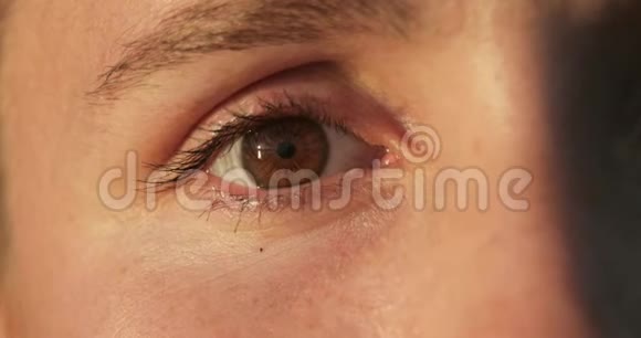 棕色眼睛盯着年轻女人的脸特写视频的预览图