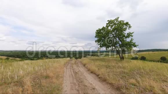 路过孤树绿野乡路和美丽天空视频的预览图
