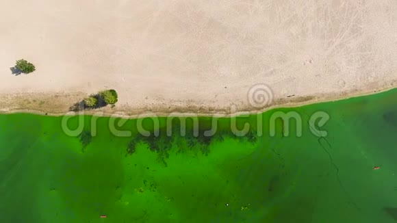 在沙质海岸附近被绿藻严重污染的高空视频的预览图