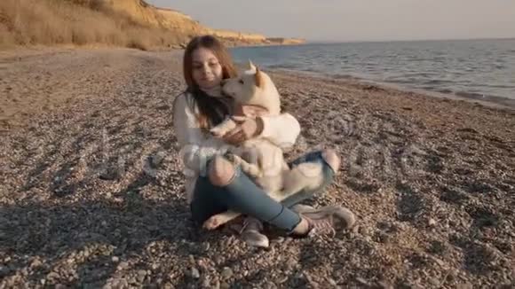 美丽的少女长发拥抱她可爱的千叶牛犬在海滩上日出慢动作视频的预览图