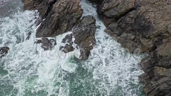 爱尔兰多阿多尼加尔的波击打罗兹吉尔彭斯视频的预览图