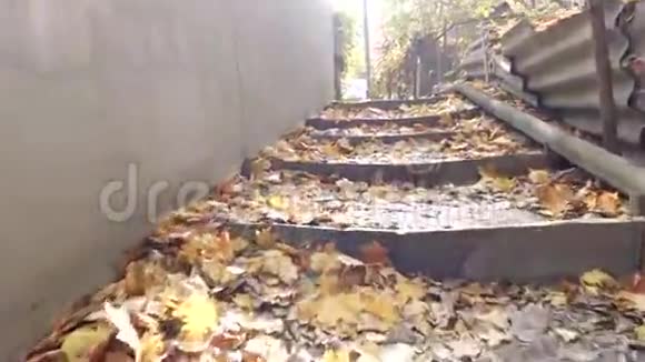 照相机慢慢地爬上满是树叶的楼梯视频的预览图