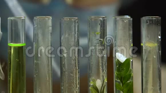 实验室生物学家用植物样品在试管中加入液体gmo实验视频的预览图