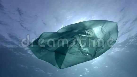 慢运动丢弃用绿色塑料袋在阳光下的蓝色水面下缓慢漂流视频的预览图