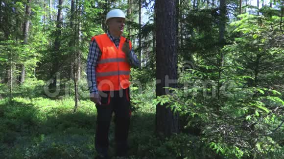 林中树木附近的伐木工人视频的预览图