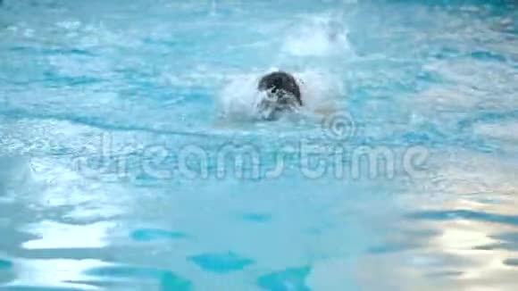 男子游泳运动员在游泳池训练时做蝶泳动作慢动作视频的预览图