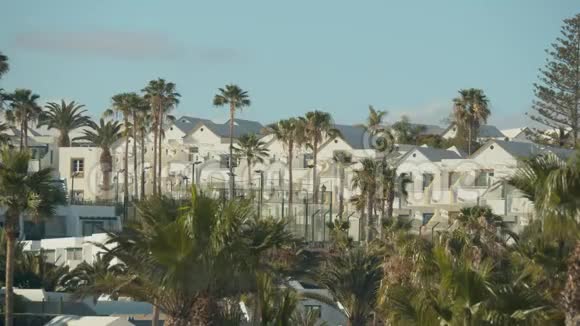 加那利群岛兰萨罗特的房屋和棕榈视频的预览图