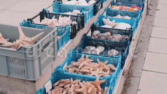 鱼市蓝色篮子有贝壳牡蛎海星贝壳贝壳软体动物纪念品视频的预览图