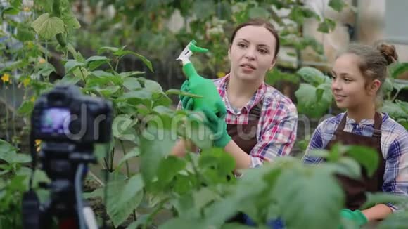 家庭园丁在温室里录制一段关于园艺的视频视频的预览图