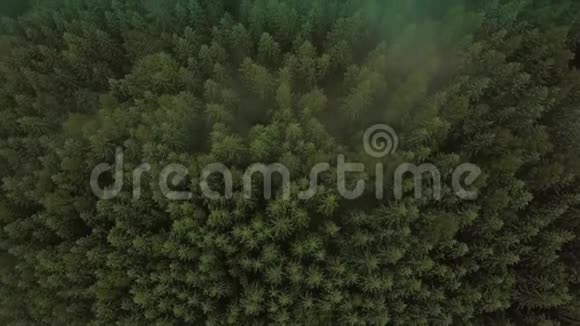 神秘而多雾的无人机在山上的雨林上空飞行飞上雾顶下景中东问题视频的预览图