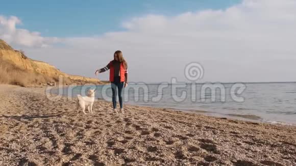 穿着红色外套的可爱女孩和她的小西巴伊努狗在海洋附近的家庭休息时跑得很慢视频的预览图