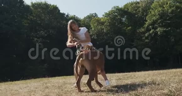 快乐的年轻女性兴高采烈地在草坪上和狗玩皮带与家畜的爱情和友谊视频的预览图