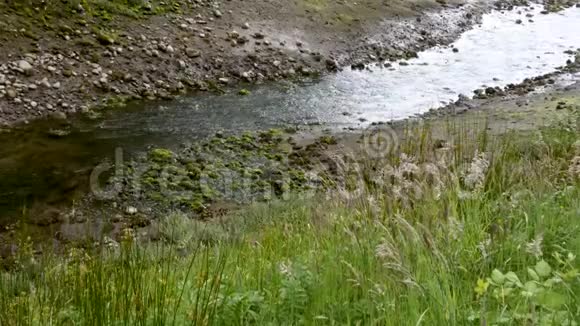 水沿着野草和泥流视频的预览图