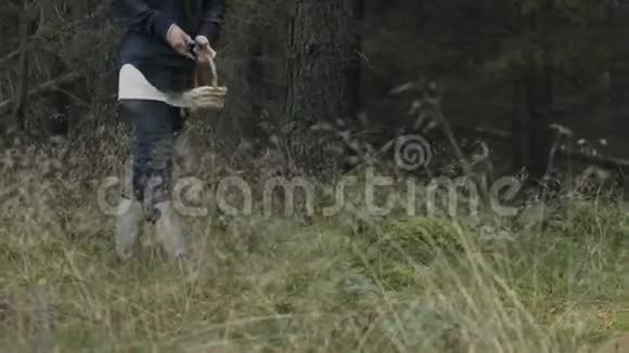 散步采蘑菇视频的预览图
