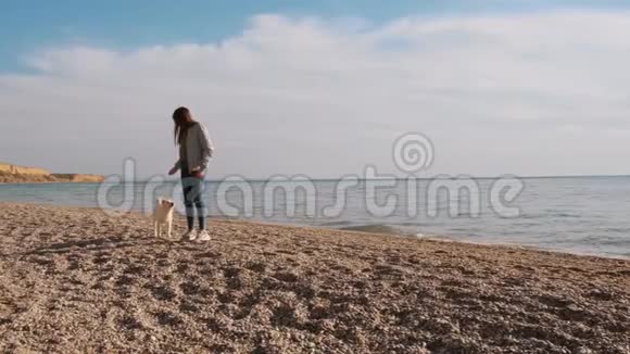年轻可爱的女孩和她可爱的石坝宠物在日出时在海滩上慢动作跑视频的预览图